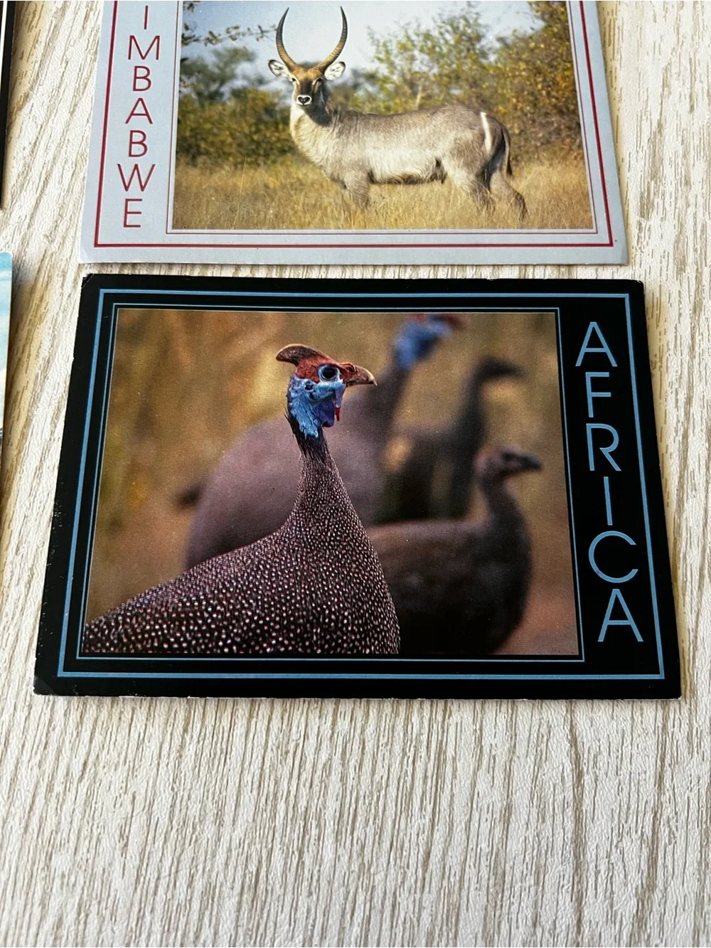 Set of 6 Vintage African Zimbabwe Post Cards